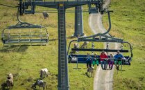 Familie sitzt auf einem Sessel, unter ihnen grüne Wiesen mit Kühen | © Bergbahnen Flumserberg AG