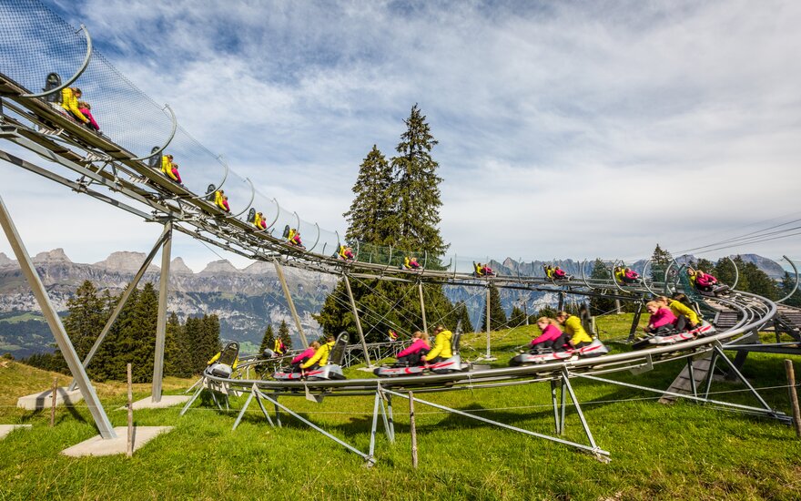 Sommerrodelbahn FLOOMZER I Bergbahnen Flumserberg