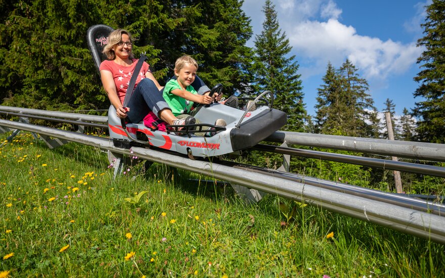 Sommerrodelbahn FLOOMZER I Bergbahnen Flumserberg