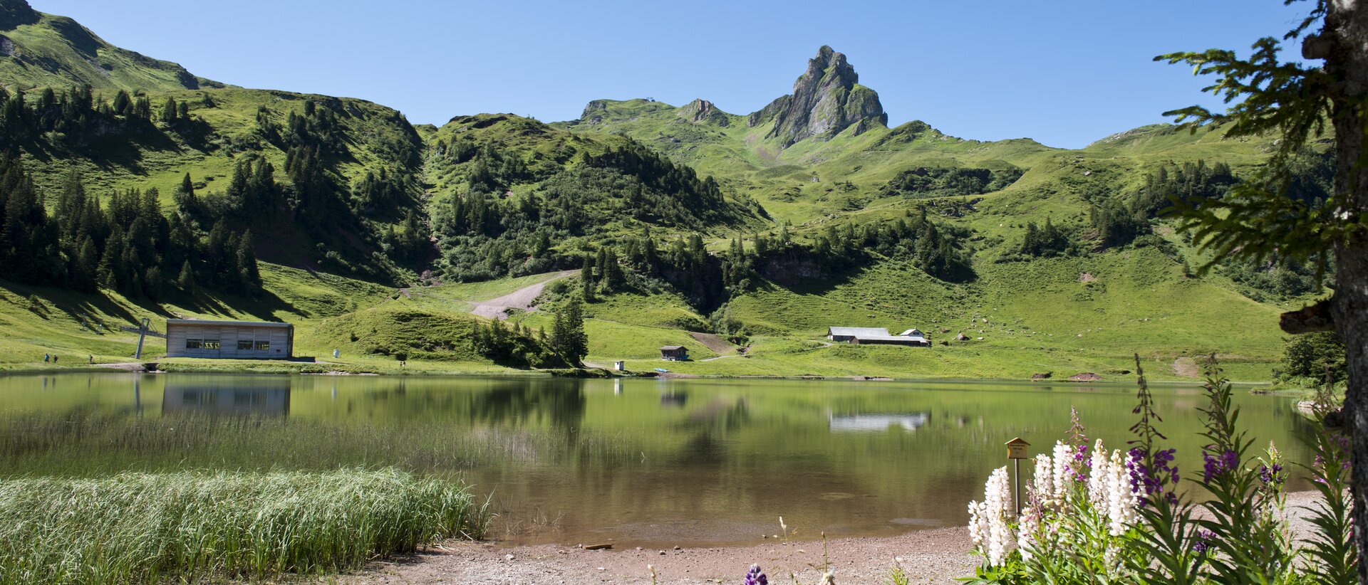das-ferienparadies-flumserberg-i-bergbahnen-flumserberg