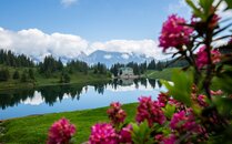 Rosa Blumen vor einem Bergsee, ein Restaurant im Hintergrund | © Bergbahnen Flumserberg AG