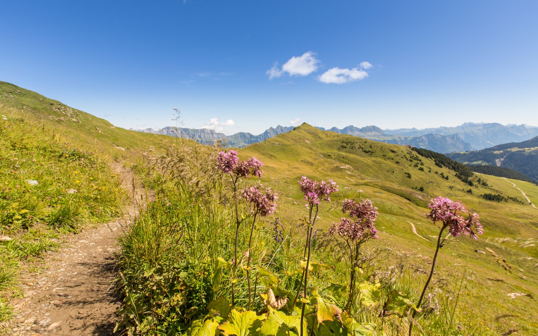 wanderung-zur-spitzmeilenh-tte-bergbahnen-flumserberg-ag