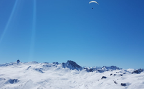 Strahlendblauer Himmel mit einem Gleitschirmflieger in der Luft | © Bergbahnen Flumserberg AG